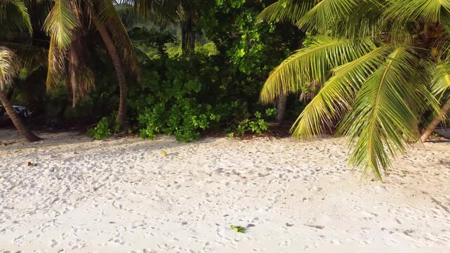 Aerial view of Grande Anse in Praslin island at sunset. Seychelles, Indian Ocean