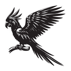 Black Color Parrot Silhouette Vector Illustration, Solid White Background
