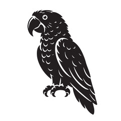 Black Color Parrot Silhouette Vector Illustration, Solid White Background