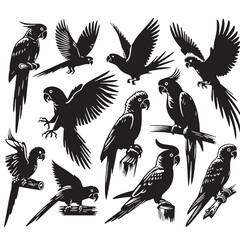 Black Color Parrot Silhouette Vector Illustration, Solid White Background