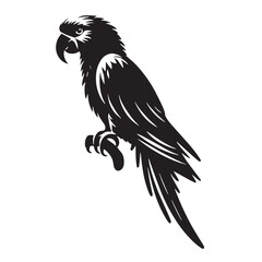 Black Color Parrot Silhouette Vector Illustration, Solid White Background