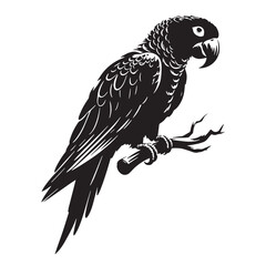 Black Color Parrot Silhouette Vector Illustration, Solid White Background