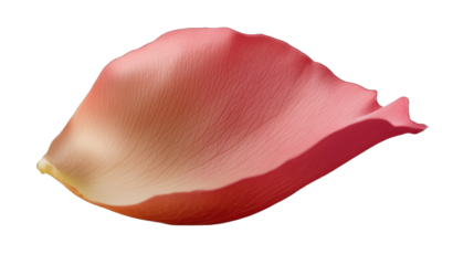 Petal's Tender Embrace: A delicate petal of a rose unfolds its soft curves, showcasing a gradient of blush hues that speak of subtle beauty and transient moments.