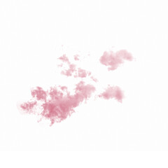pink cherry blossom cloud