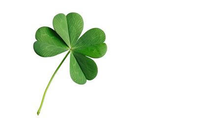 Lucky Clover: A vibrant, heart-shaped, three-leaf clover, symbolizing luck, is presented on a neutral background, perfect for designs and concepts.