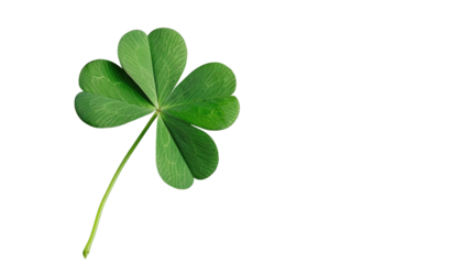 Lucky Clover: A vibrant, heart-shaped, three-leaf clover, symbolizing luck, is presented on a neutral background, perfect for designs and concepts.