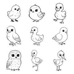 set of birds