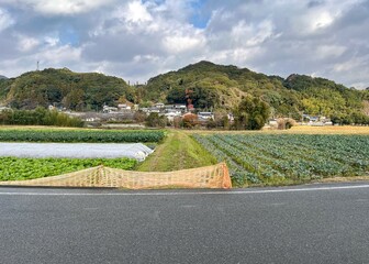 日本の農村の風景