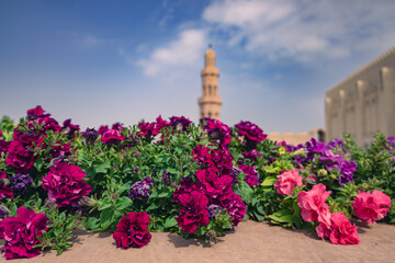 Flower garden at the Sultan Qaboos Mosque