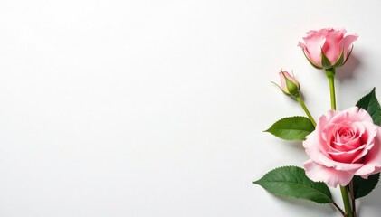 Obraz premium Clean white background with subtle Roman-inspired texture , roman texture, weathered