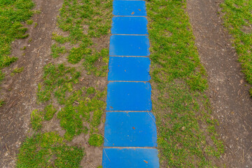 Bright blue pathway stands out among green grass and bare soil in urban park during sunny afternoon