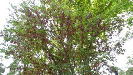 bird on tree