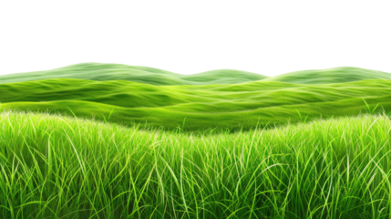Vibrant Meadow: A scenic close-up of lush green grass in the foreground leading to rolling hills under a bright sky, evoking a sense of tranquility and natural beauty.