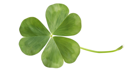 Lucky Clover: A close-up shot of a vibrant green clover with five leaves. Each leaf is sharply defined, showcasing intricate details of nature's beauty. The image radiates an aura of good fortune. 
