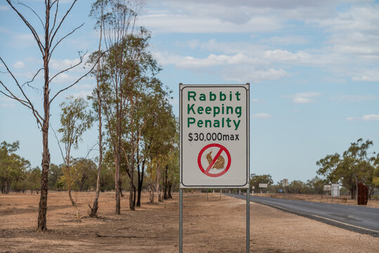 No Rabbit keeping sign