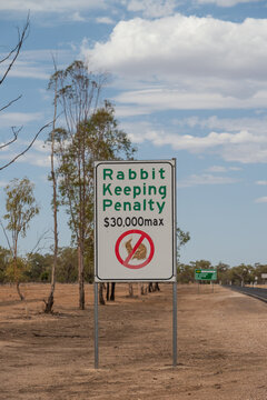 No Rabbit keeping sign