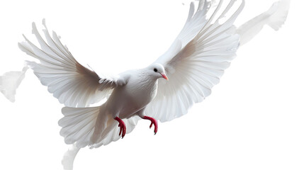 Fototapeta premium soaring Dove of Peace: Capturing the essence of tranquility and freedom, this stunning image showcases a pure white dove in mid-flight, its wings gracefully spread against the sky.