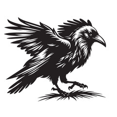 Black Color Raven Silhouette Vector Illustration, Solid White Background