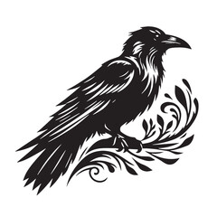 Black Color Raven Silhouette Vector Illustration, Solid White Background