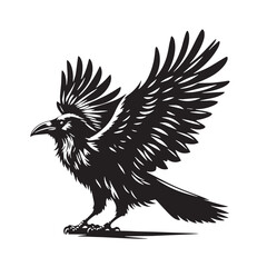 Black Color Raven Silhouette Vector Illustration, Solid White Background