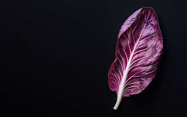 Single radicchio leaf on a black background.  Close-up, high-angle view showing rich, dark red and purple hues.  Clean and minimalist aesthetic
