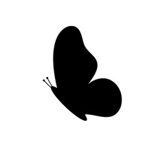 black butterflies vector
