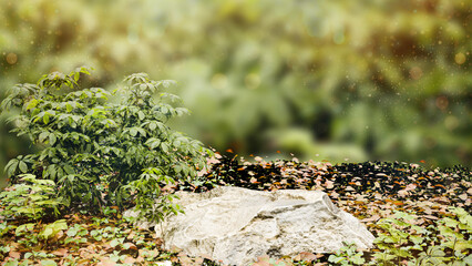 Realistic Nature Scene – Lush Greenery, Rock & Autumn Leaves in High-Quality 3D Render