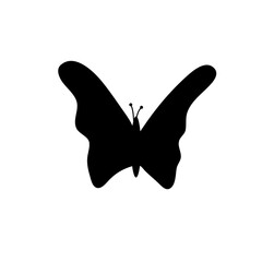black butterflies vector
