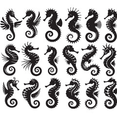 Black Color Seahorse Silhouette Vector Illustration, Solid White Background