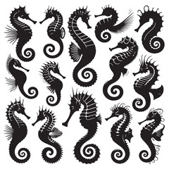 Black Color Seahorse Silhouette Vector Illustration, Solid White Background