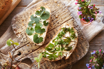 Spring wild edible plants - young garlic mustard and ground elder leaves, on slices of bread