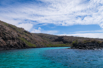 Obraz premium lake and mountains