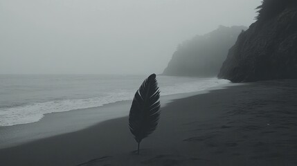 Lonely feather on misty beach