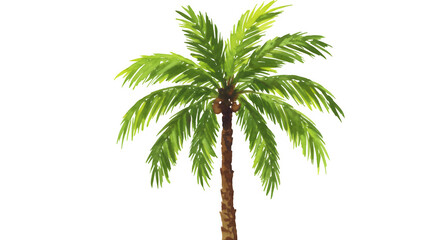 Fototapeta premium A vibrant watercolor painting depicts a single, tall palm tree against a white or transparent background, showcasing its lush green fronds and brown trunk.