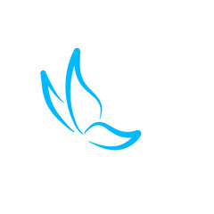 Butterfly continuous line
