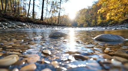 Fototapeta premium Tranquil riverbed with smooth stones under soft sunlight, surrounded by vibrant autumn foliage.