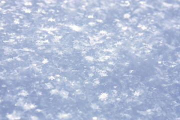 Delicate Snowflakes on a Frosty Surface – A Winter Wonderland