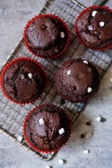 Homemade hot chocolate muffins with mini marshmallows, selective focus