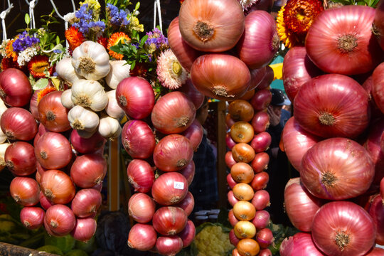 H&ouml;ri-B&uuml;lle, rote Speisezwiebel