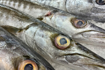 Fresh fish for sale on ice in a supermarket.