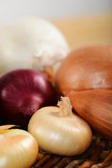 Zwiebel,  Allium cepa var. cepa