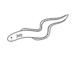 Obraz premium Cute sea eel drawing, vector doodle outline simple illustration for coloring book