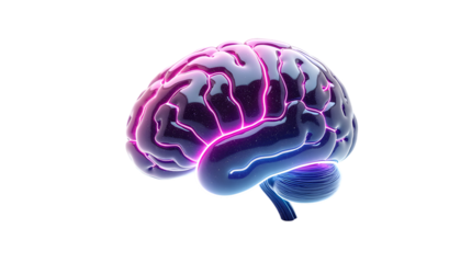 Futuristic Human Brain Isolated Transparent Background, PNG – AI, Neuroscience, and Cognitive Science Concept Illustration