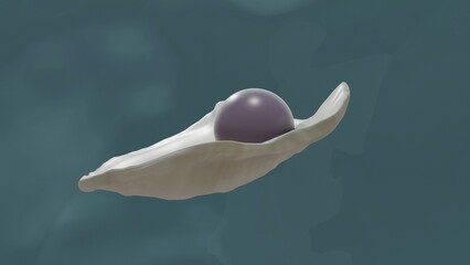 Quahog pearl in venus clam © oxana