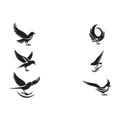 Vector birds set including dove and eagle silhouettes in flight, symbolizing peace and nature, with wings and feathers in black design