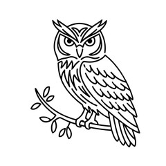 Owl Outline Vector | Wise Bird Line Art Illustration