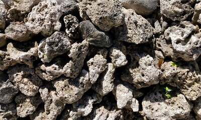竹富島　石垣のクローズアップ　沖縄