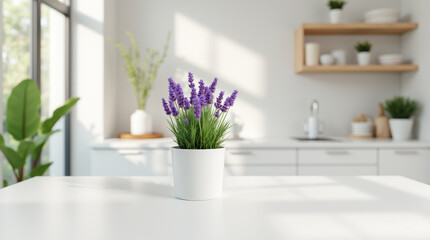 Sleek and Stylish Modern Kitchen in blur with White Furniture