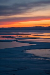 Fototapeta premium araffes walking on the beach at sunset with a view of the ocean