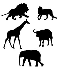 African Animals Silhouettes Set, Wild Animals Collection, Black, Lion, Giraffe, Cheetah, Buffalo, Elephant, Isolated